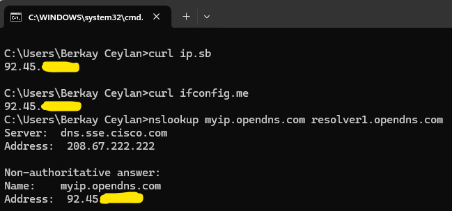cmd public ip