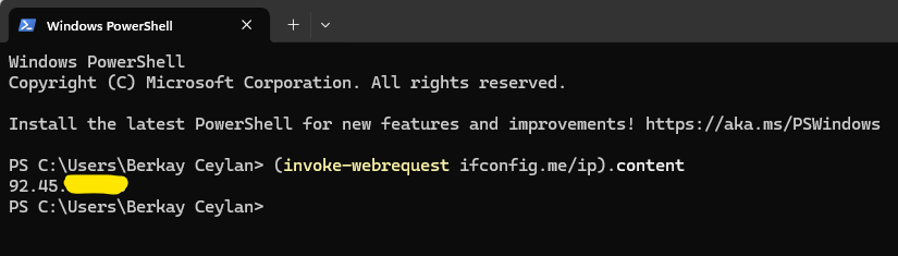 powershell public ip